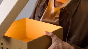 (In the image a person can be seen holding a light box)